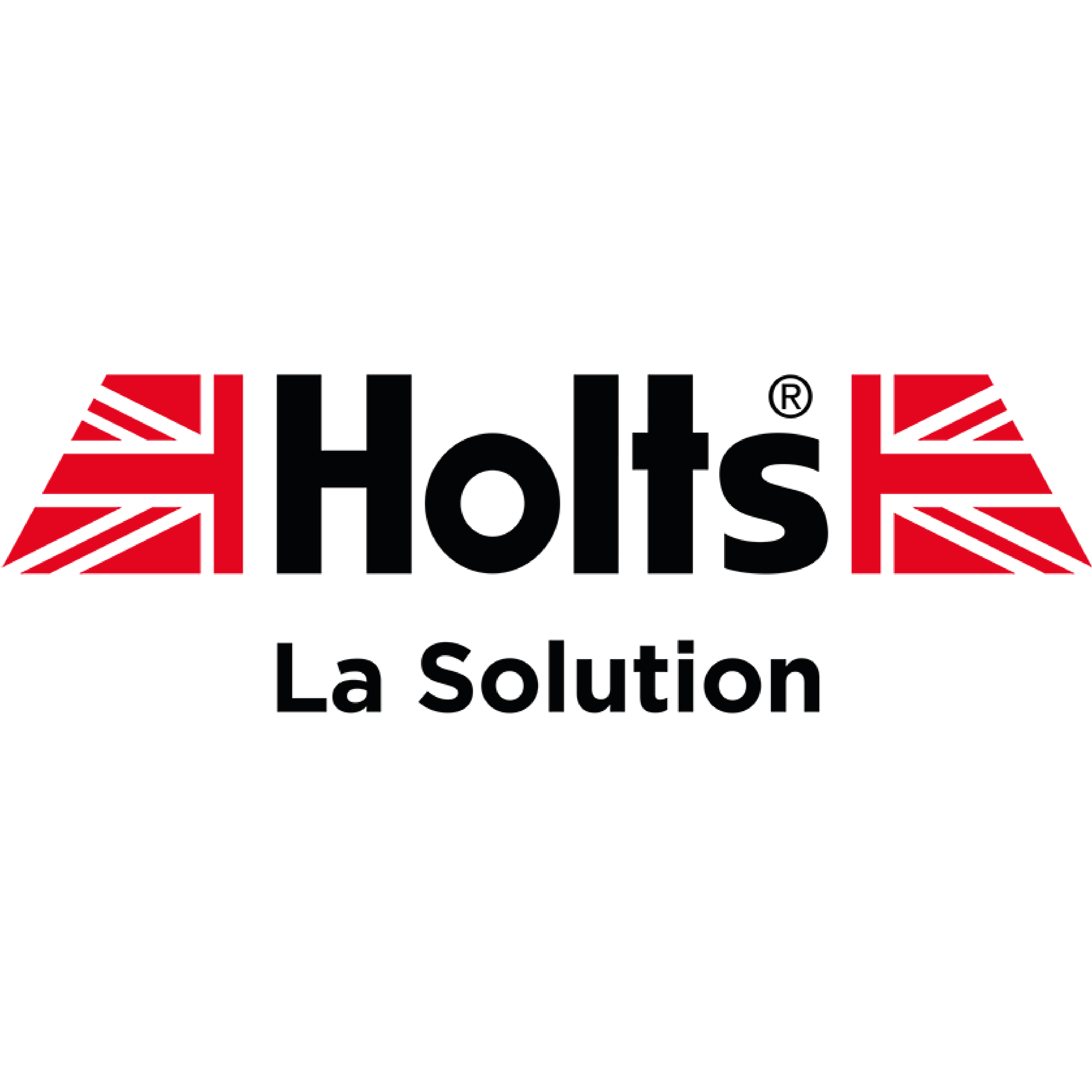 Logo HOLTS